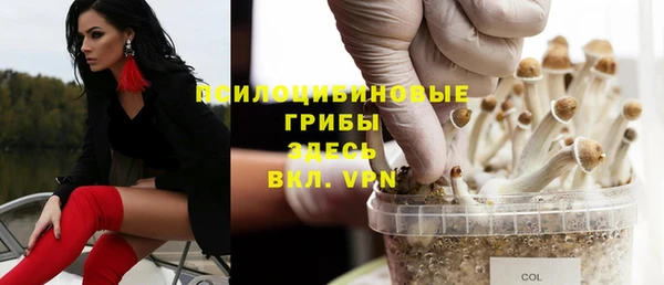 прущие крисы Гатчина