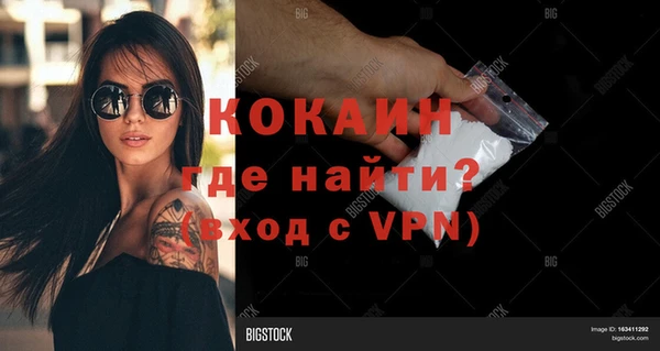 дмт Осташков