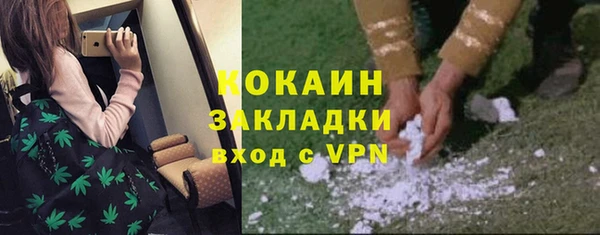 прущие грибы Рославль