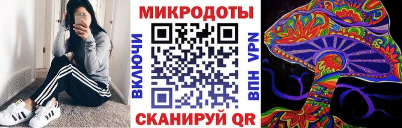 Псилоцибиновые грибы Psilocybe Ялуторовск