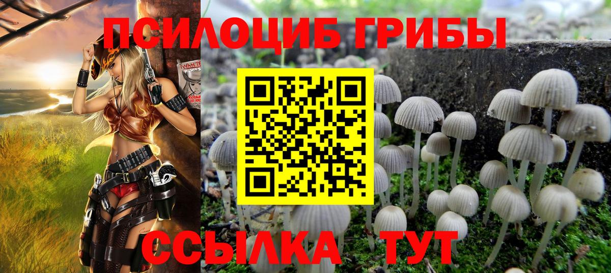 Ялуторовск  сколько стоит  Вход с VPN  Псилоцибиновые грибы Magic Shrooms  Псилоцибиновые грибы ЛСД 