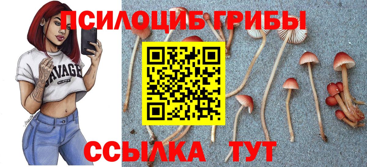 Галлюциногенные грибы ЛСД Ялуторовск